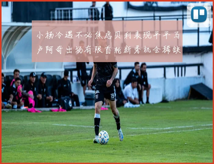 小杨冷遇不必焦虑贝利表现平平马卢阿奇出场有限首轮新秀机会稀缺